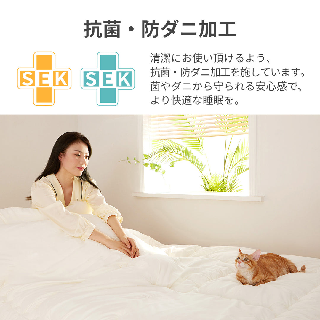 AZRA 掛け布団 シングル 150X210cm   オールシーズン ピーチスキン加工